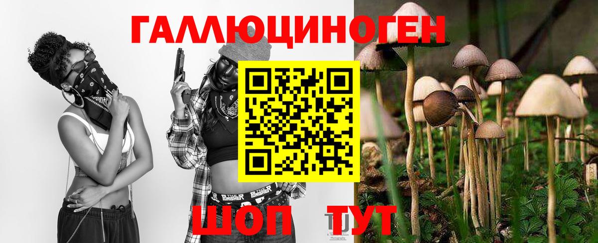 Галлюциногенные грибы Magic Shrooms  Вход с VPN  Алексин 